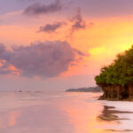 Gallery Thumbnail 3