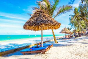 Diani Beach & Marine Safari