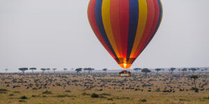Premium Maasai Mara Experience