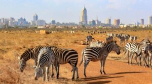 Nairobi Wildlife Day Tour