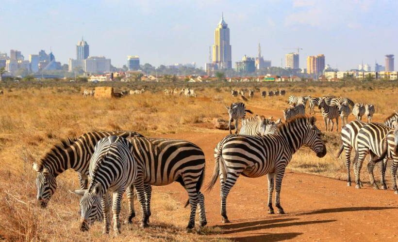Nairobi Wildlife Day Tour