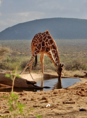 SAMBURU